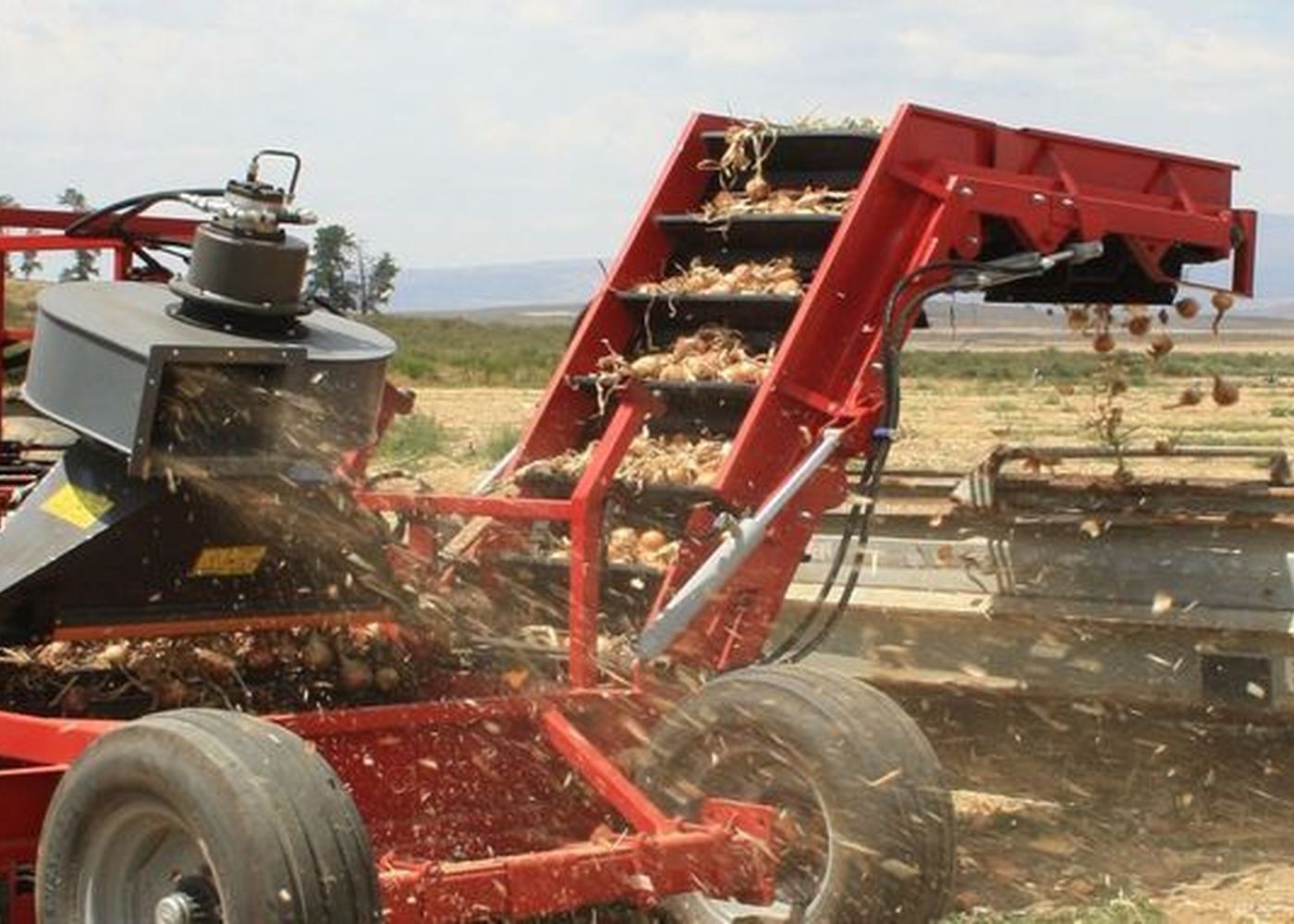 Red Ant Onion Harvester - AgriTech / Industrial automation
